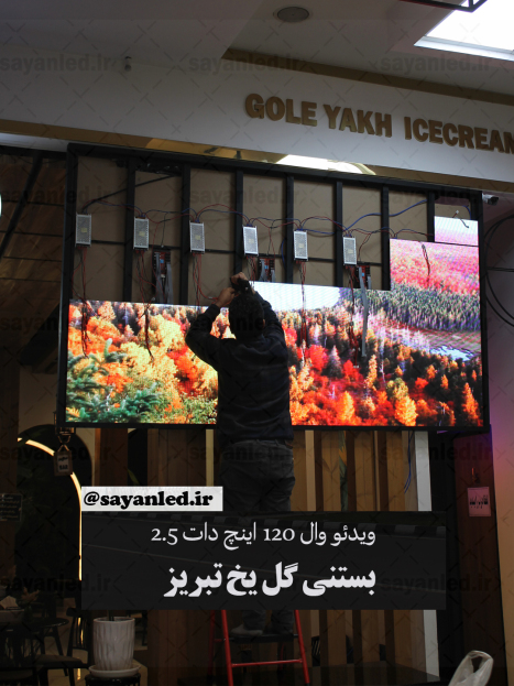 بستنی گل یخ 120 اینچ دات 2.5